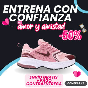 TENIS NIKE SKATE